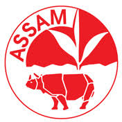 Assam GI